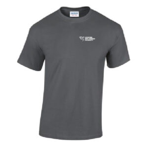 Grey T Shirt